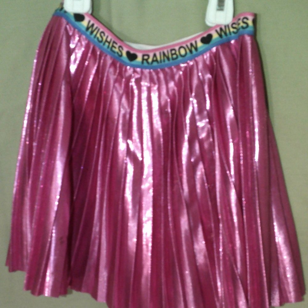 Neon Shiny Pink Skirt